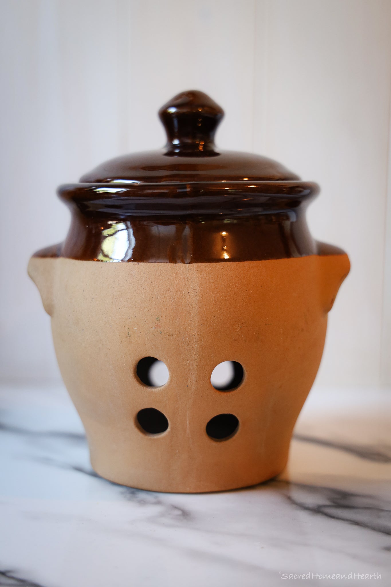 Ceramic Garlic Keeper