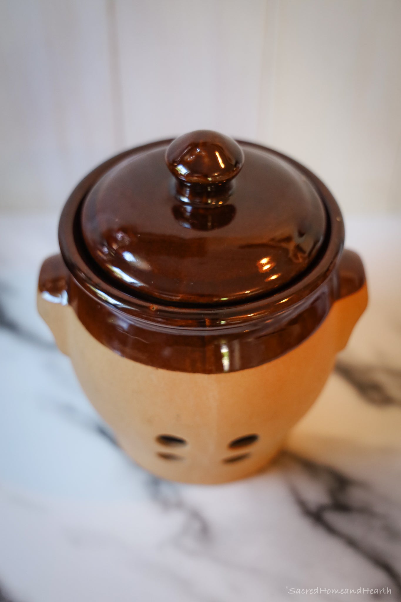 Ceramic Garlic Keeper
