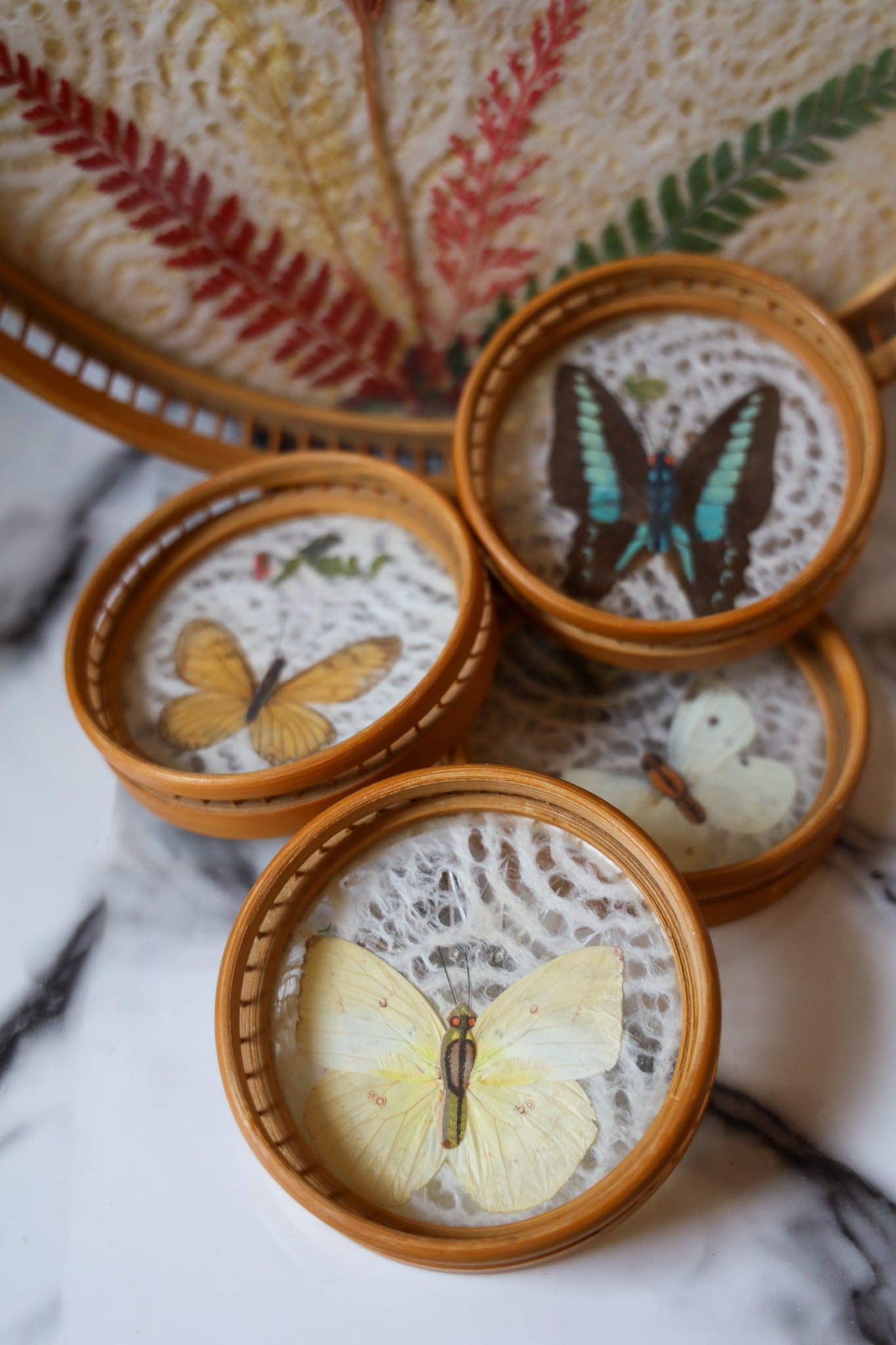 Boho Vintage Pressed Butterfly tray Set