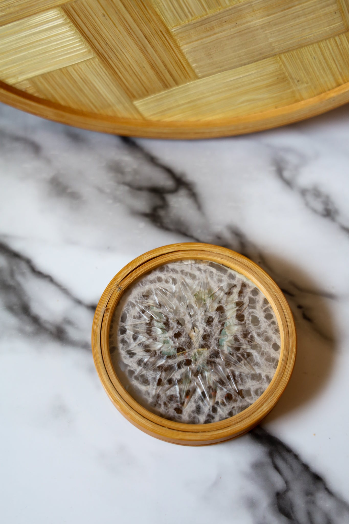 Boho Vintage Pressed Butterfly tray Set