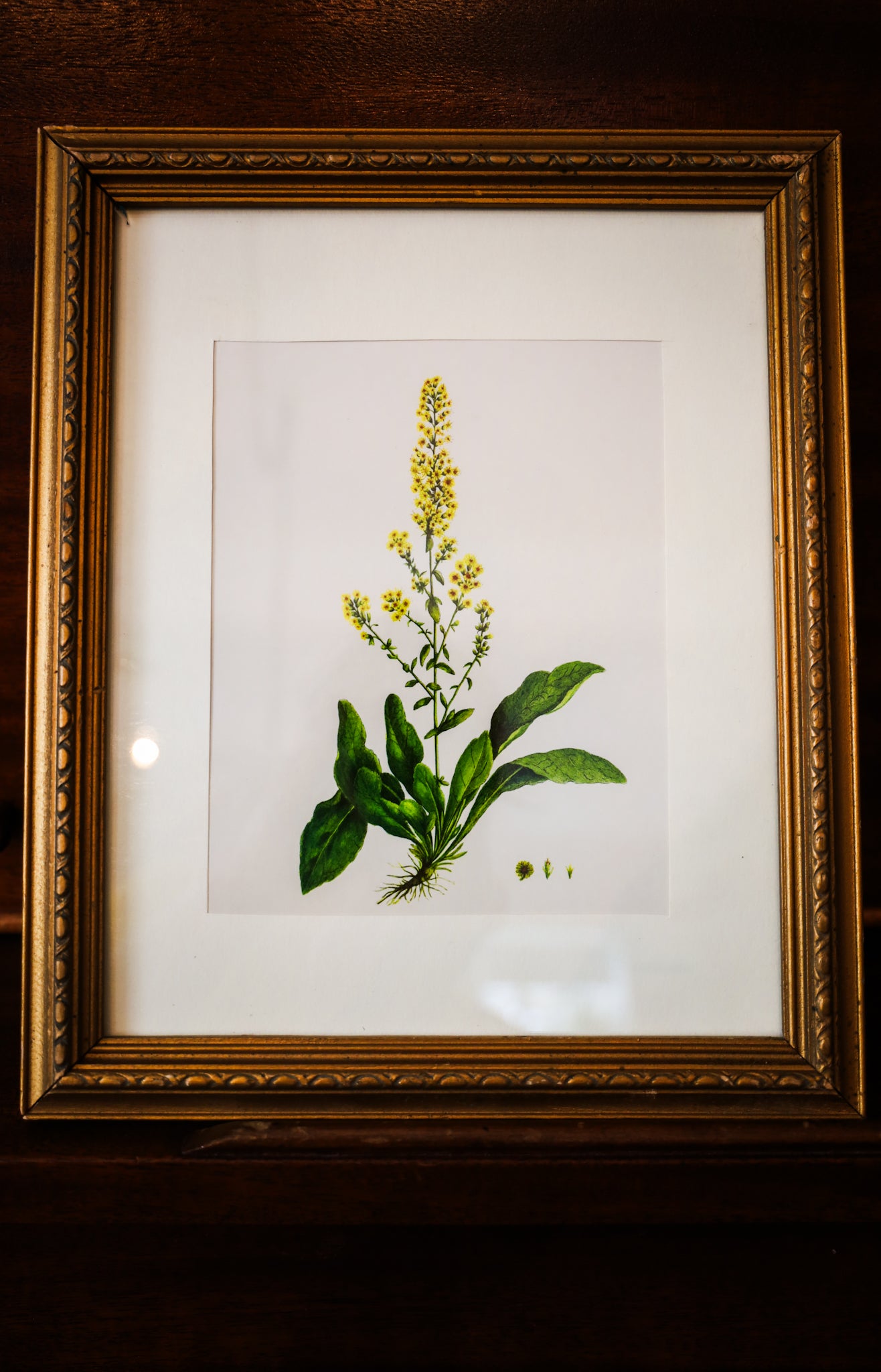 Yellow Floral Art Replica by Michel Pierre