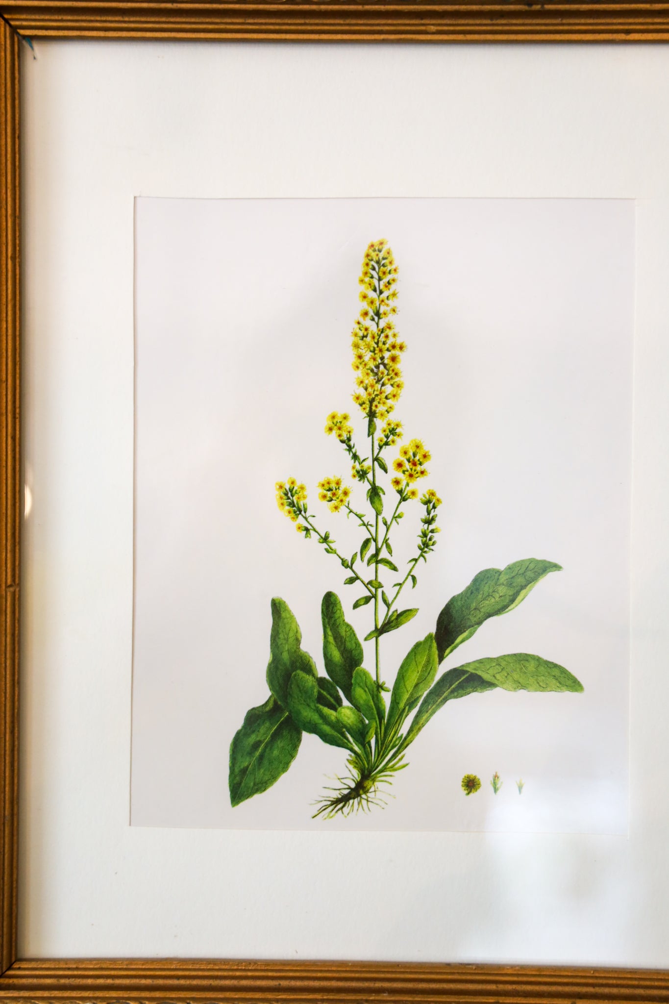 Yellow Floral Art Replica by Michel Pierre