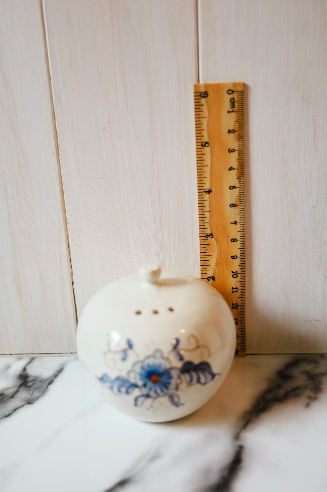 Ceramic Salt and Pepper Shakers