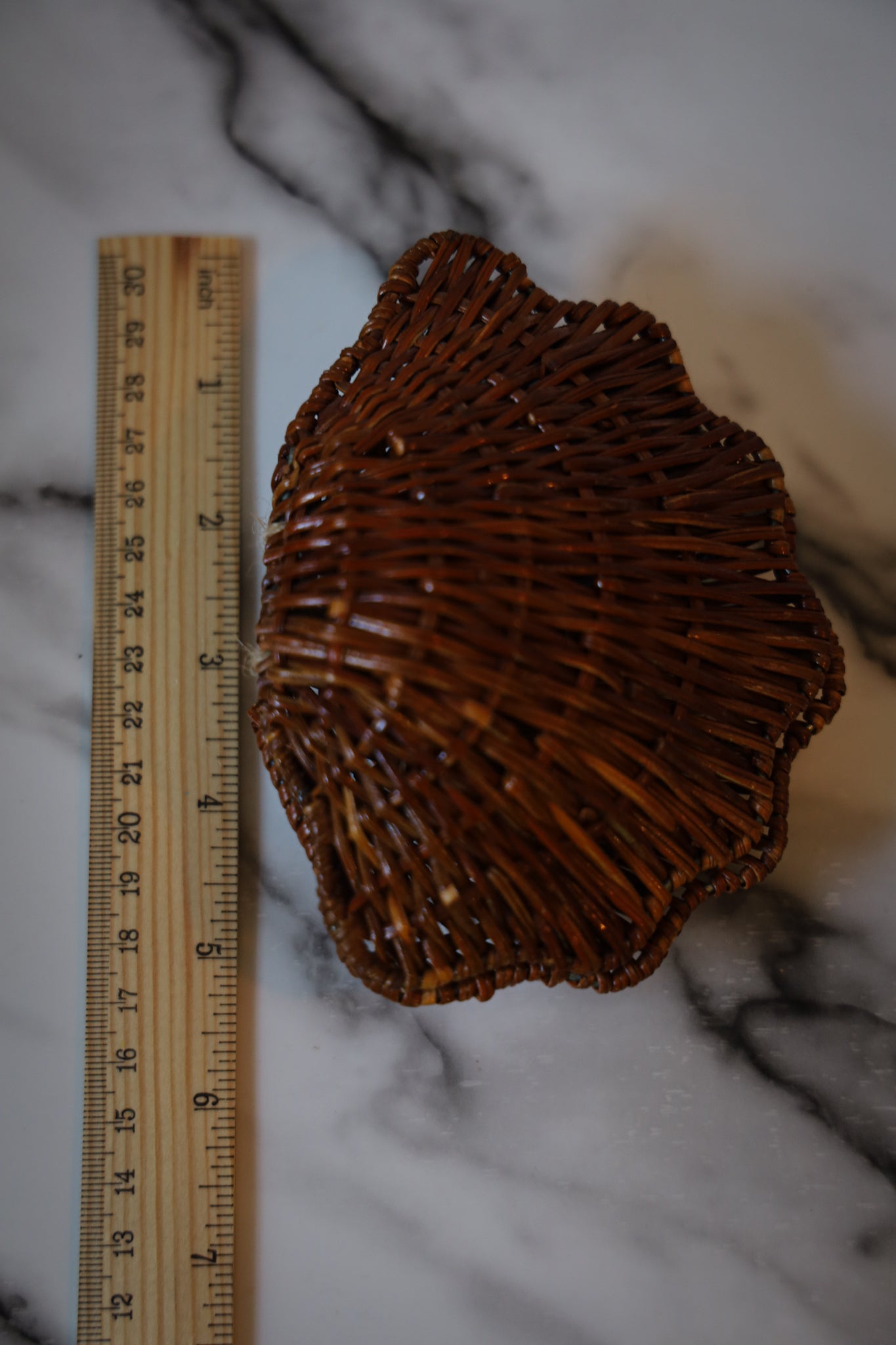 Seashell Basket