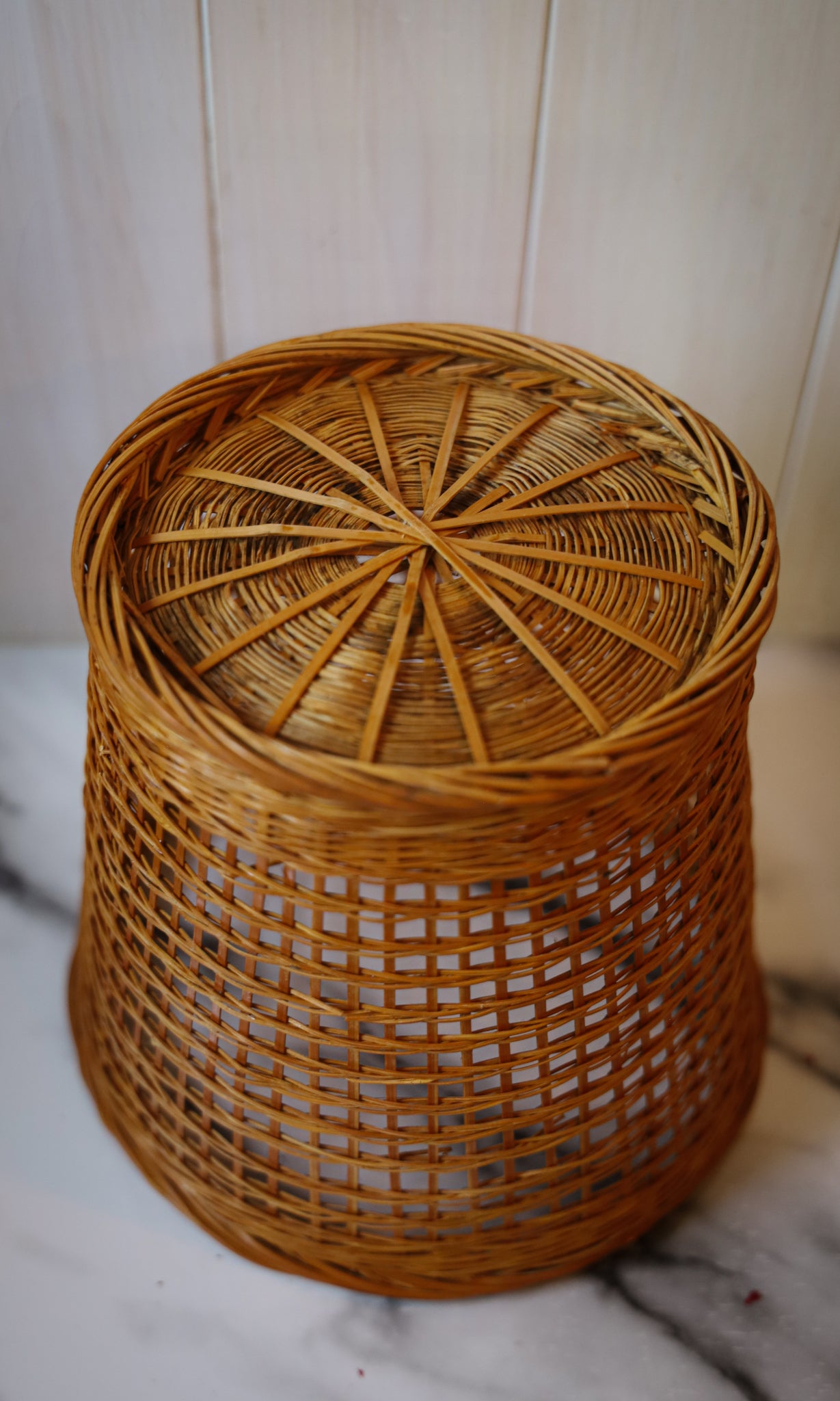 Plant Basket