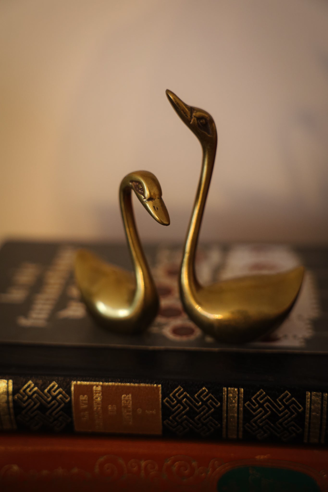Brass Swan Set