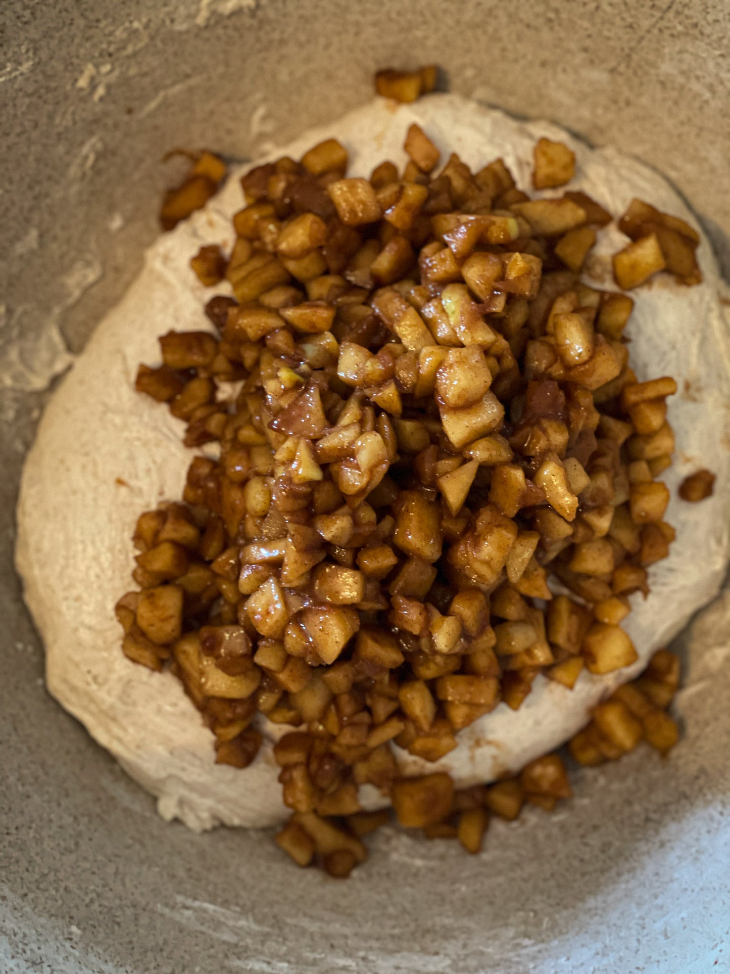 Apple Cinnamon Sourdough Bread