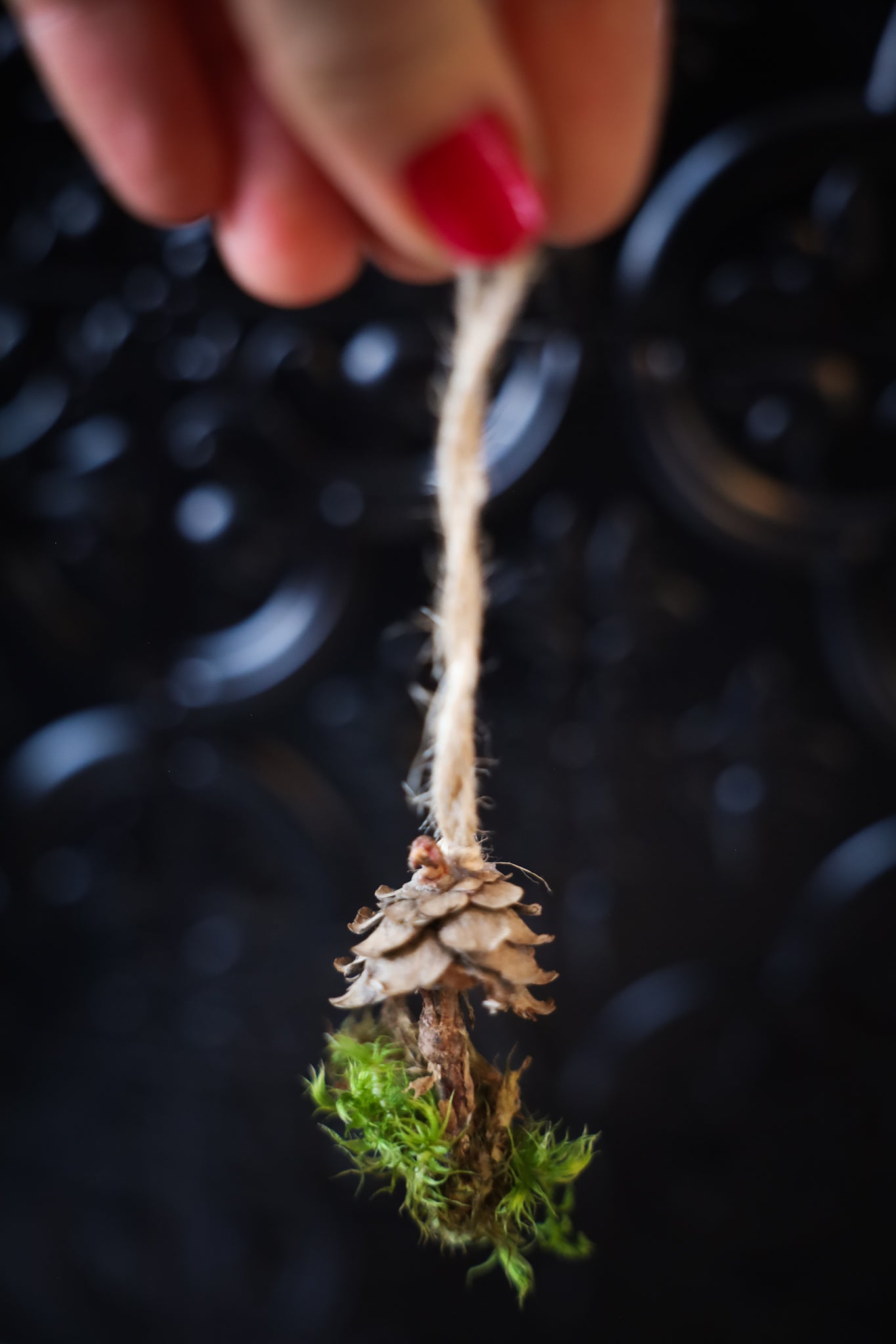 Mini Mushroom Ornament
