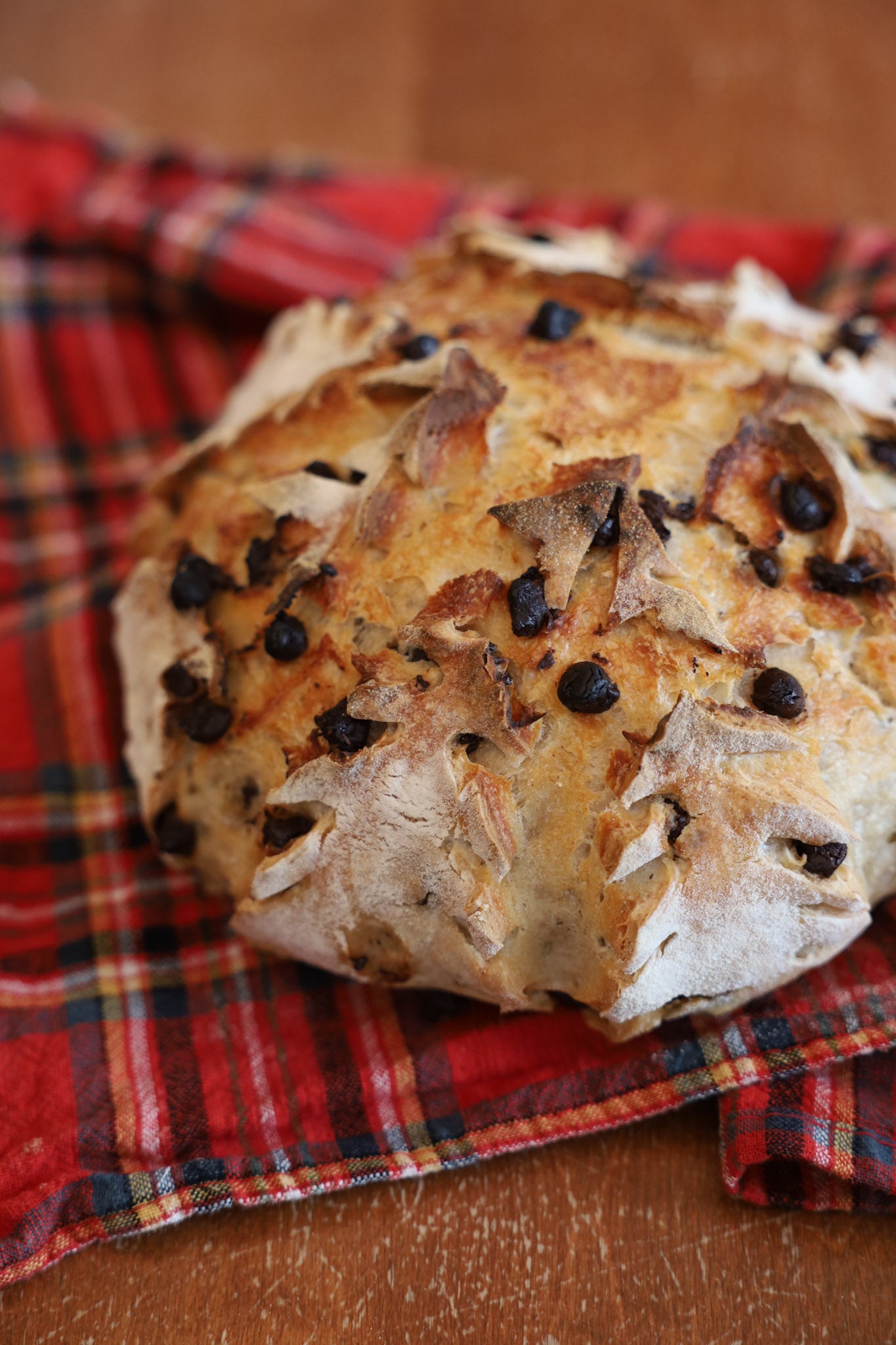 Chocolate chips Sourdough Bread