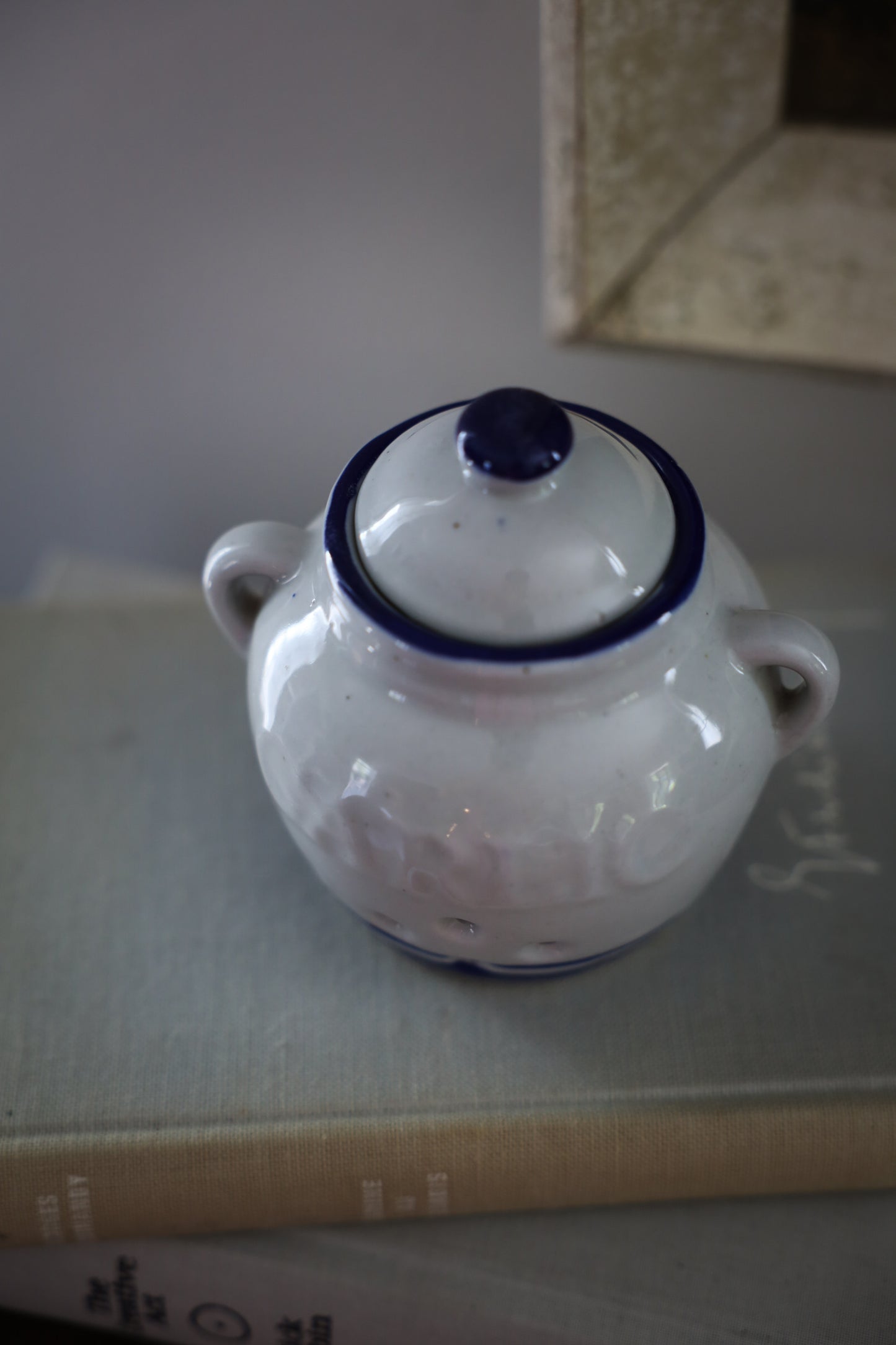 Blue & White Ceramic Garlic Keeper