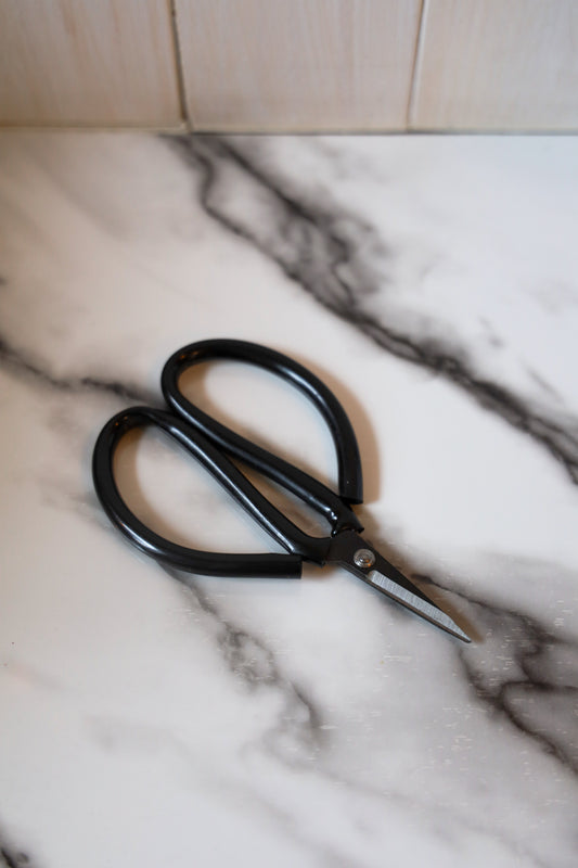 Black Scissors Vintage Style