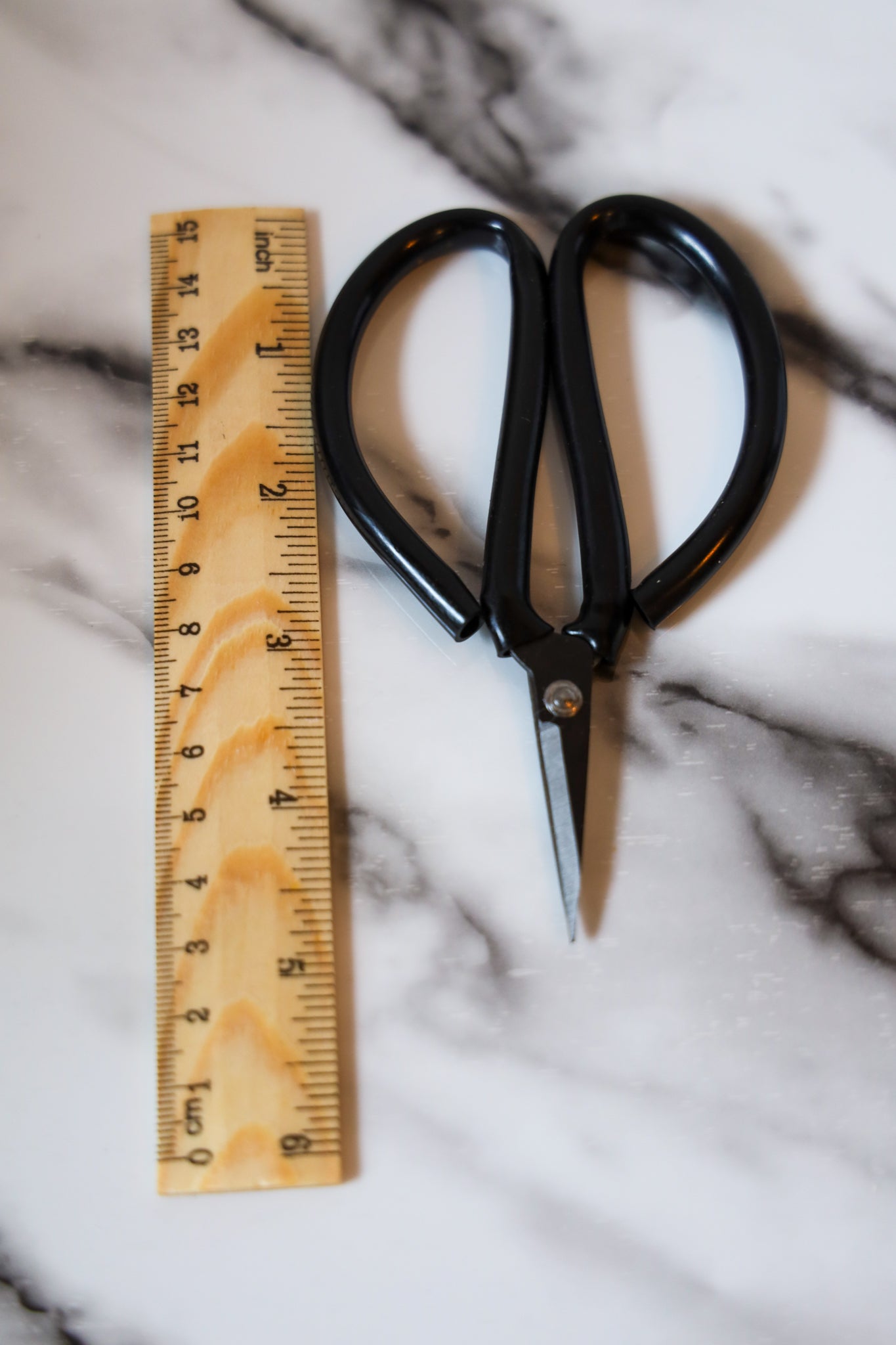 Black Scissors Vintage Style