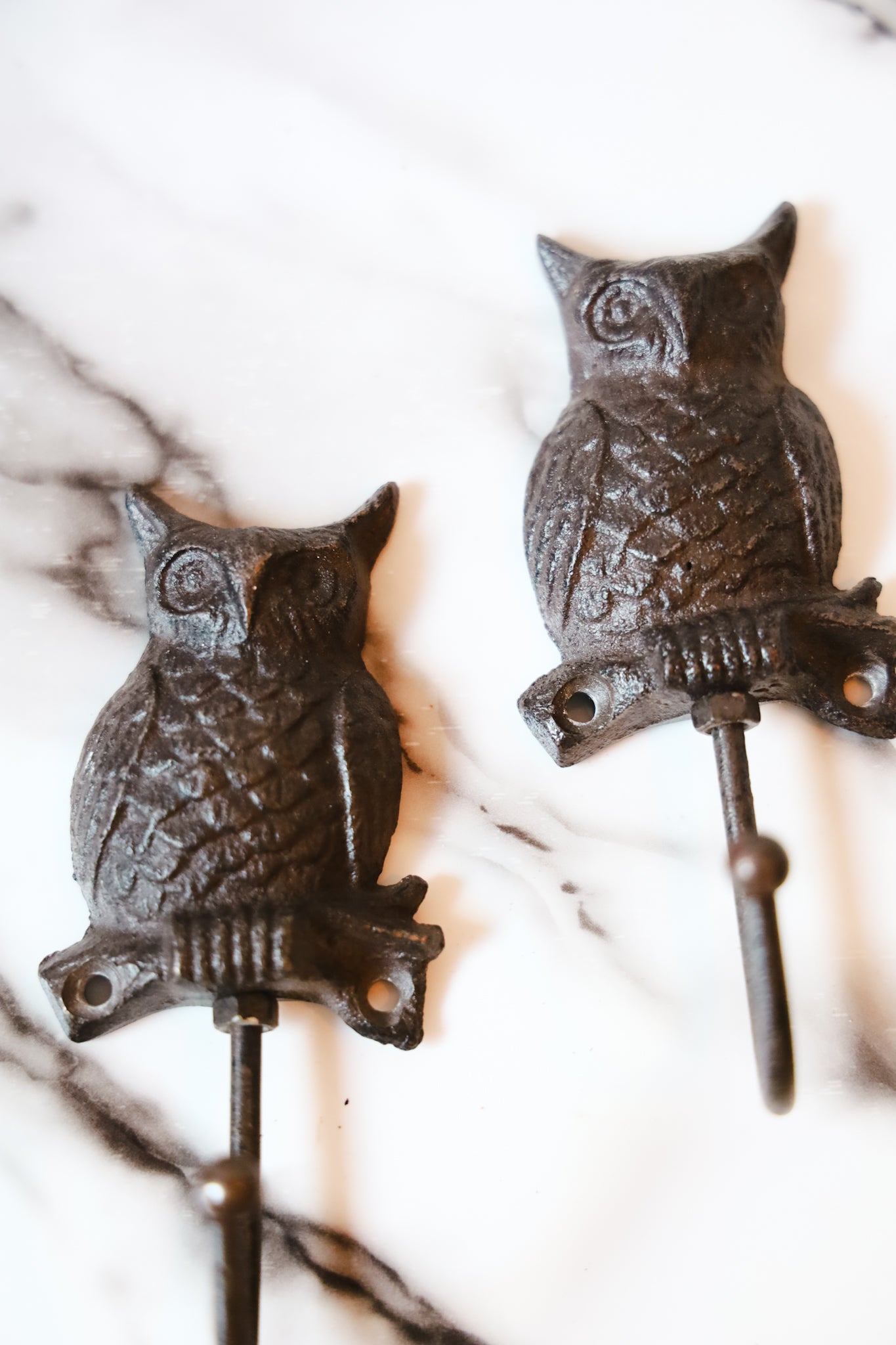 Cast Iron Owl Coat Hooks(set of 2)