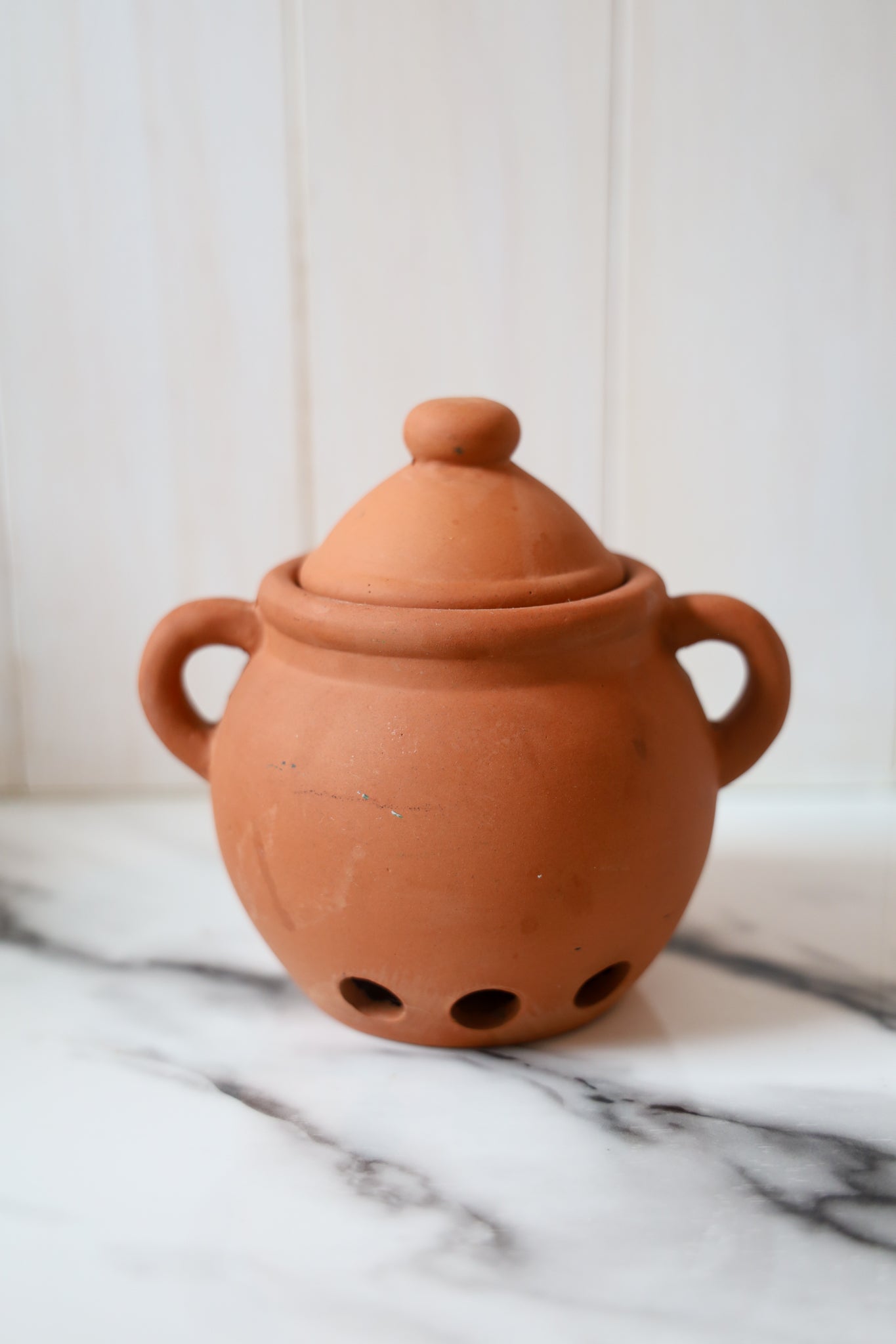 Terracotta Garlic Keeper