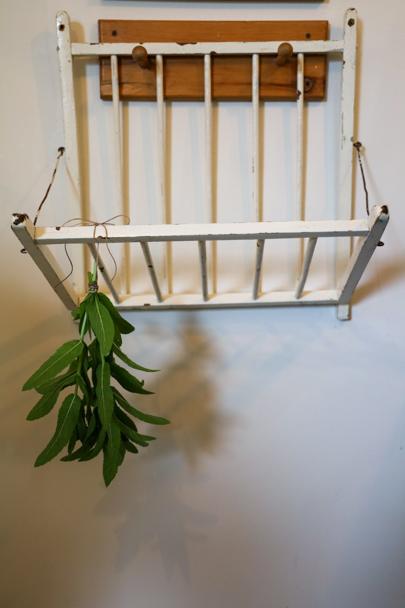 Vintage Herb Rack