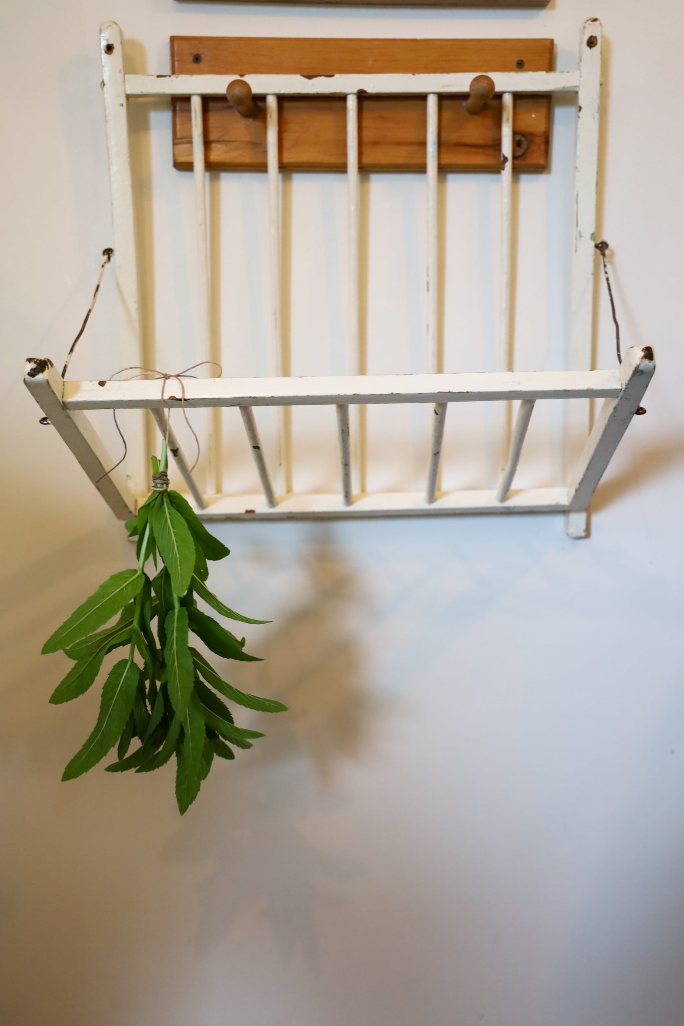 Vintage Herb Rack