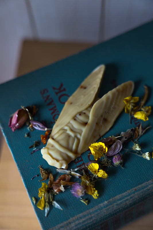 Cicada Patchouli, Lavender, Sweet Orange Soap Bar