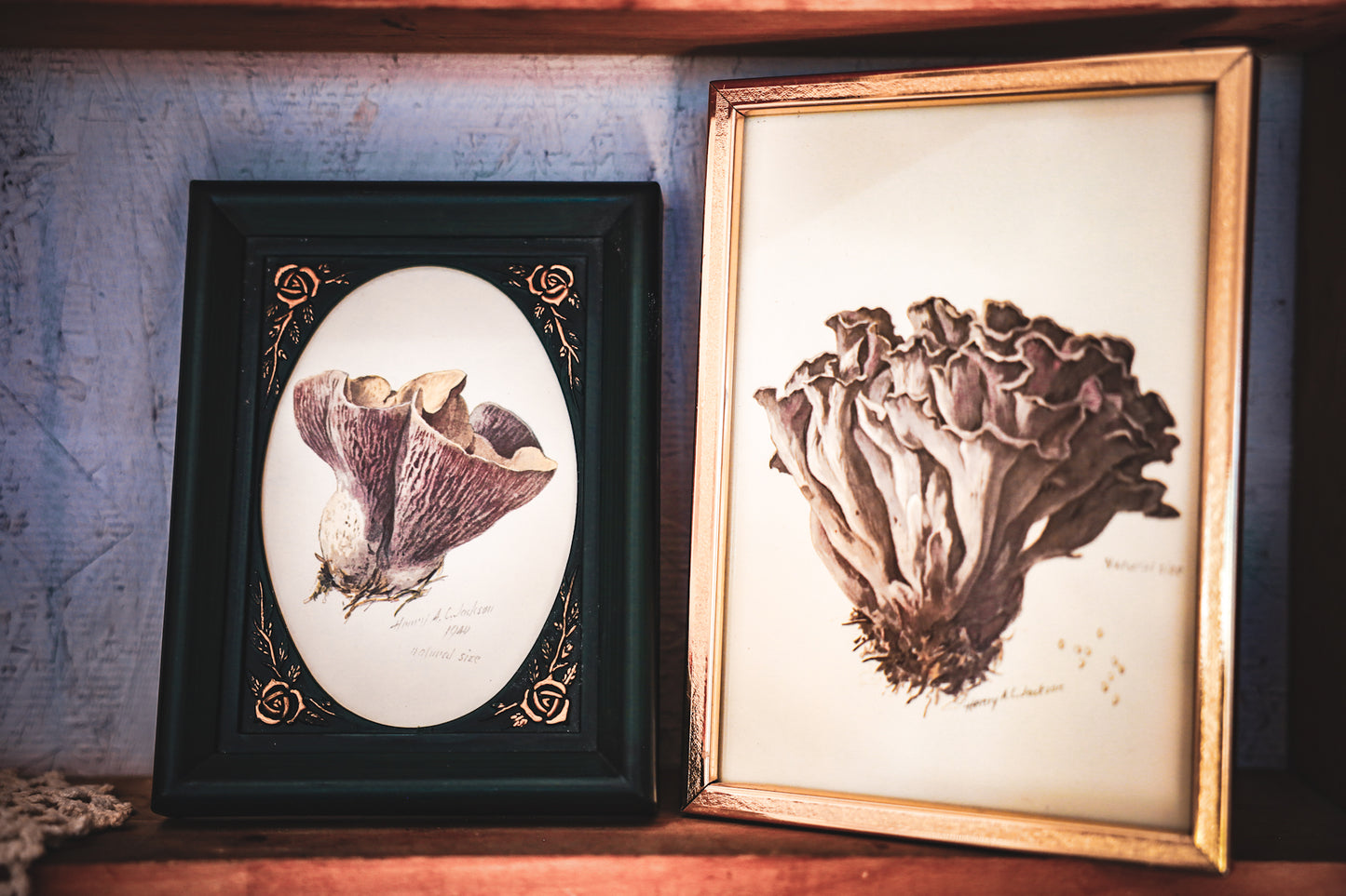 Mushroom Frame