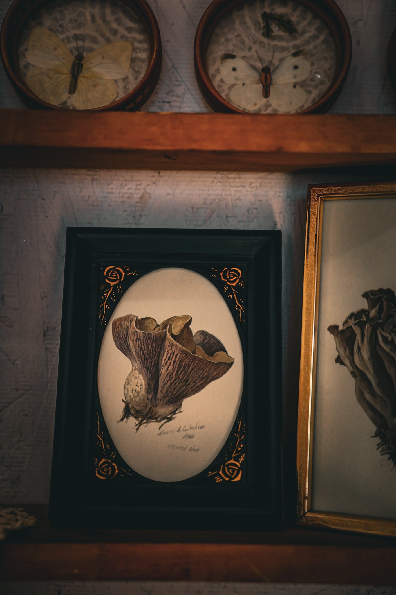 Mushroom Frame