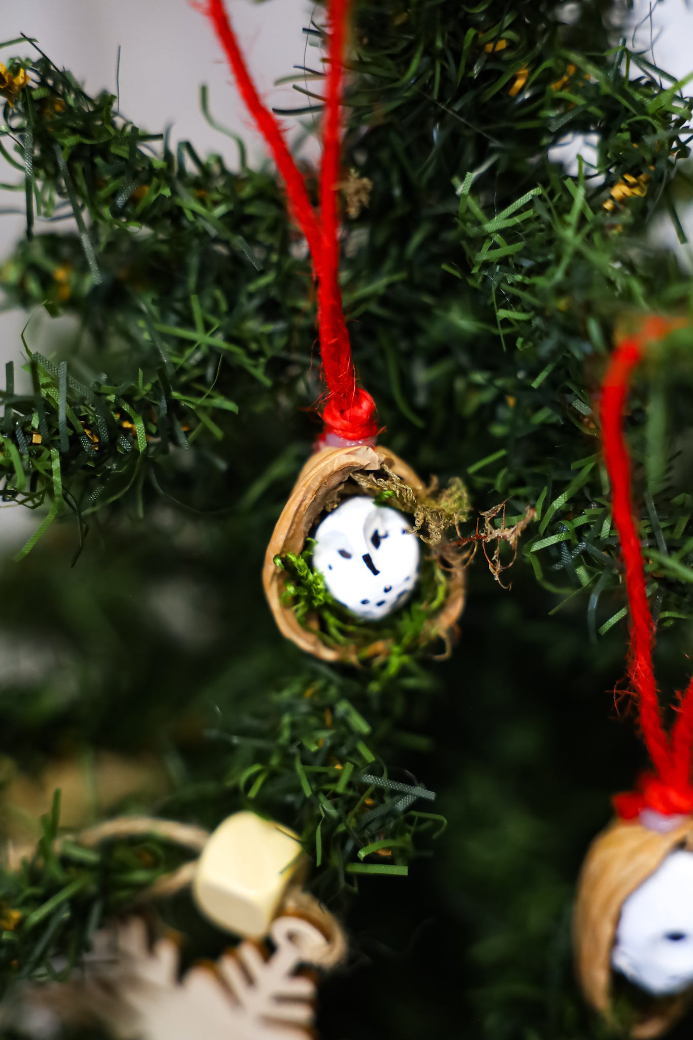 Clay Owl in Nutshell(set of 5)