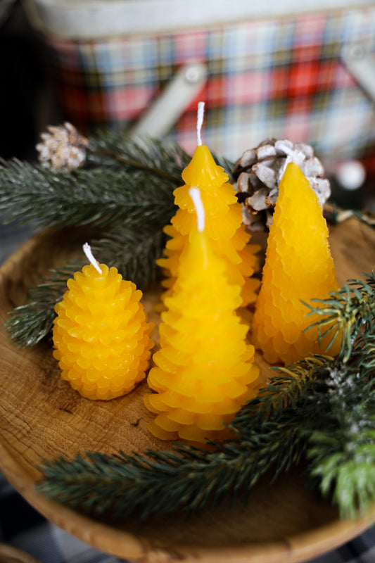 Set of 4 Beeswax candles