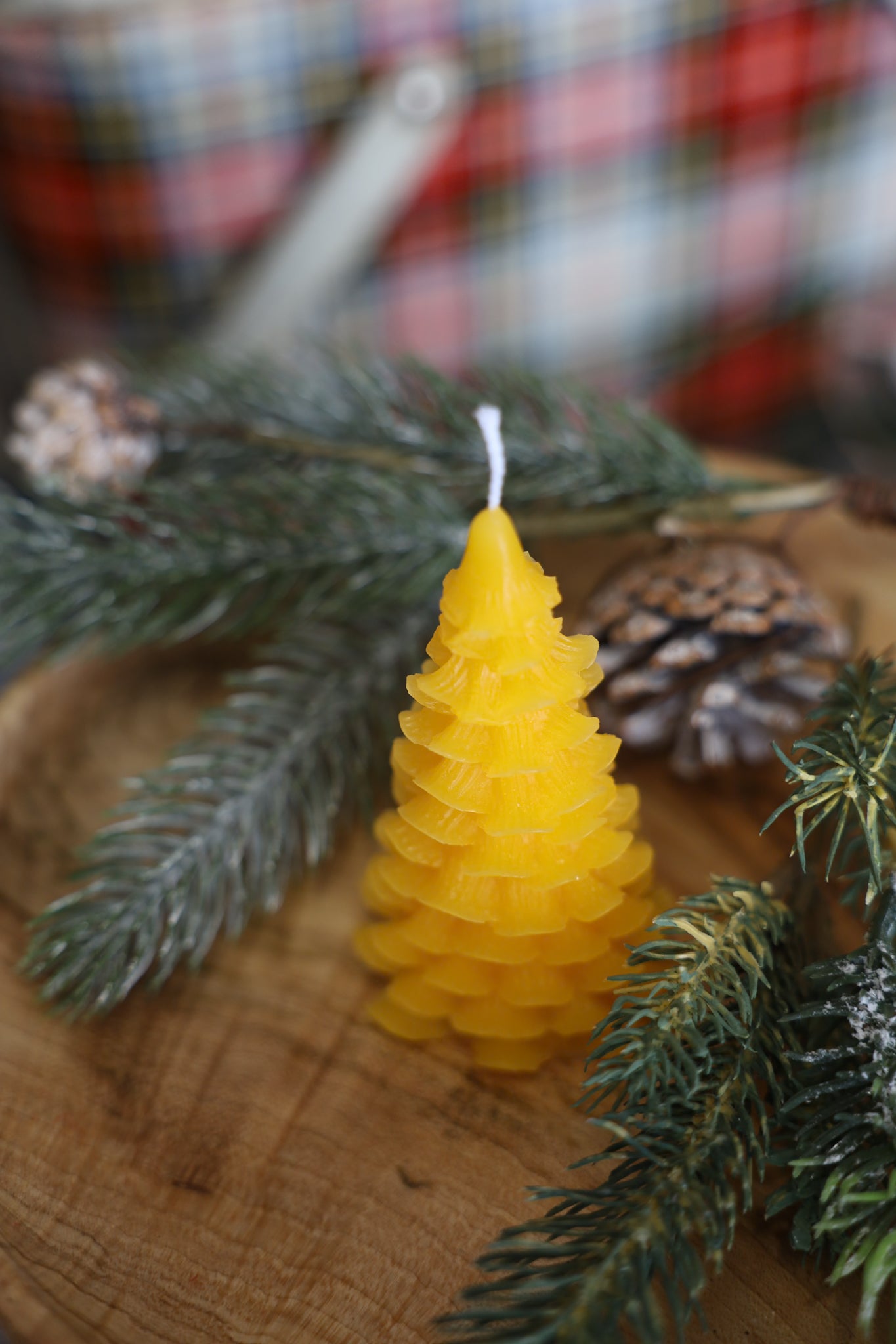 Set of 4 Beeswax candles