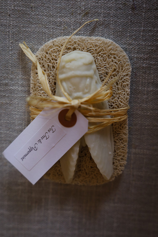 Cicada and soap saver set