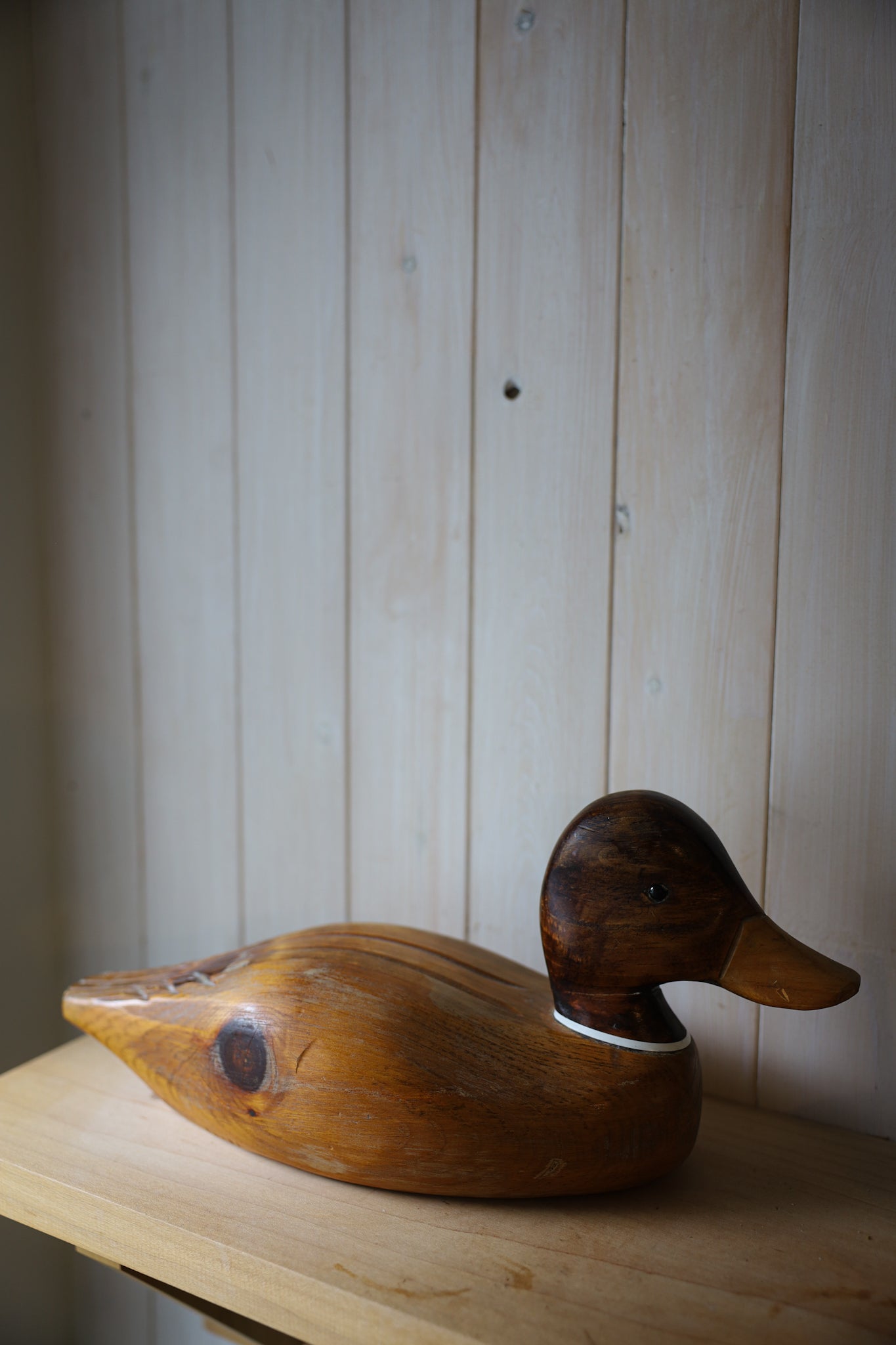 Wooden Duck