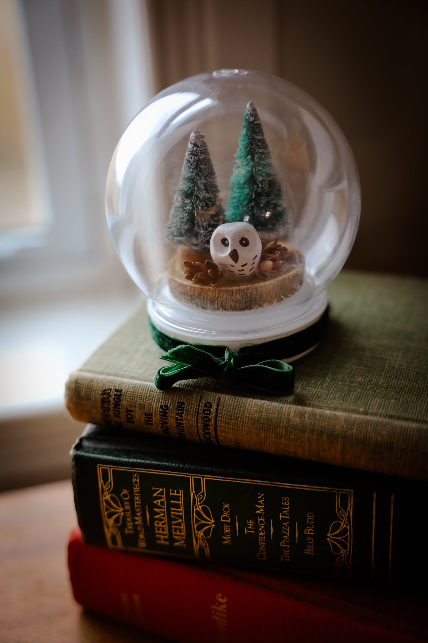 Snow Globe with owl with Green Ribbon