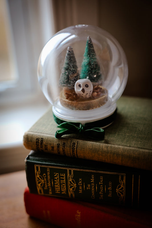Snow Globe with owl with Green Ribbon