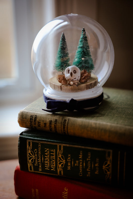 Snow Globe with owl with Blue Ribbon