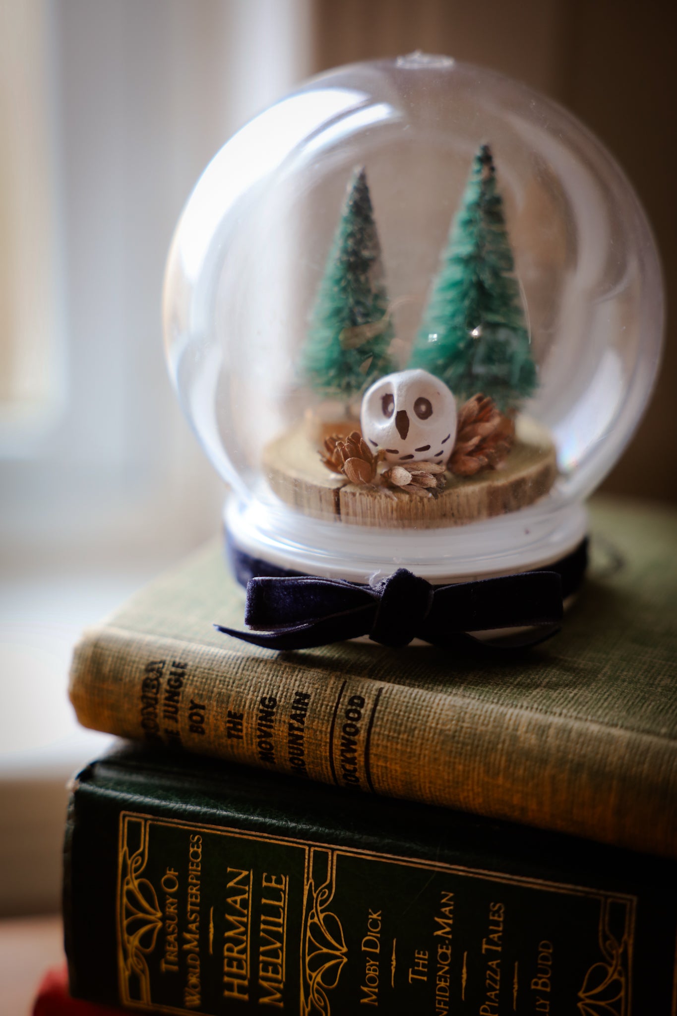 Snow Globe with owl with Blue Ribbon