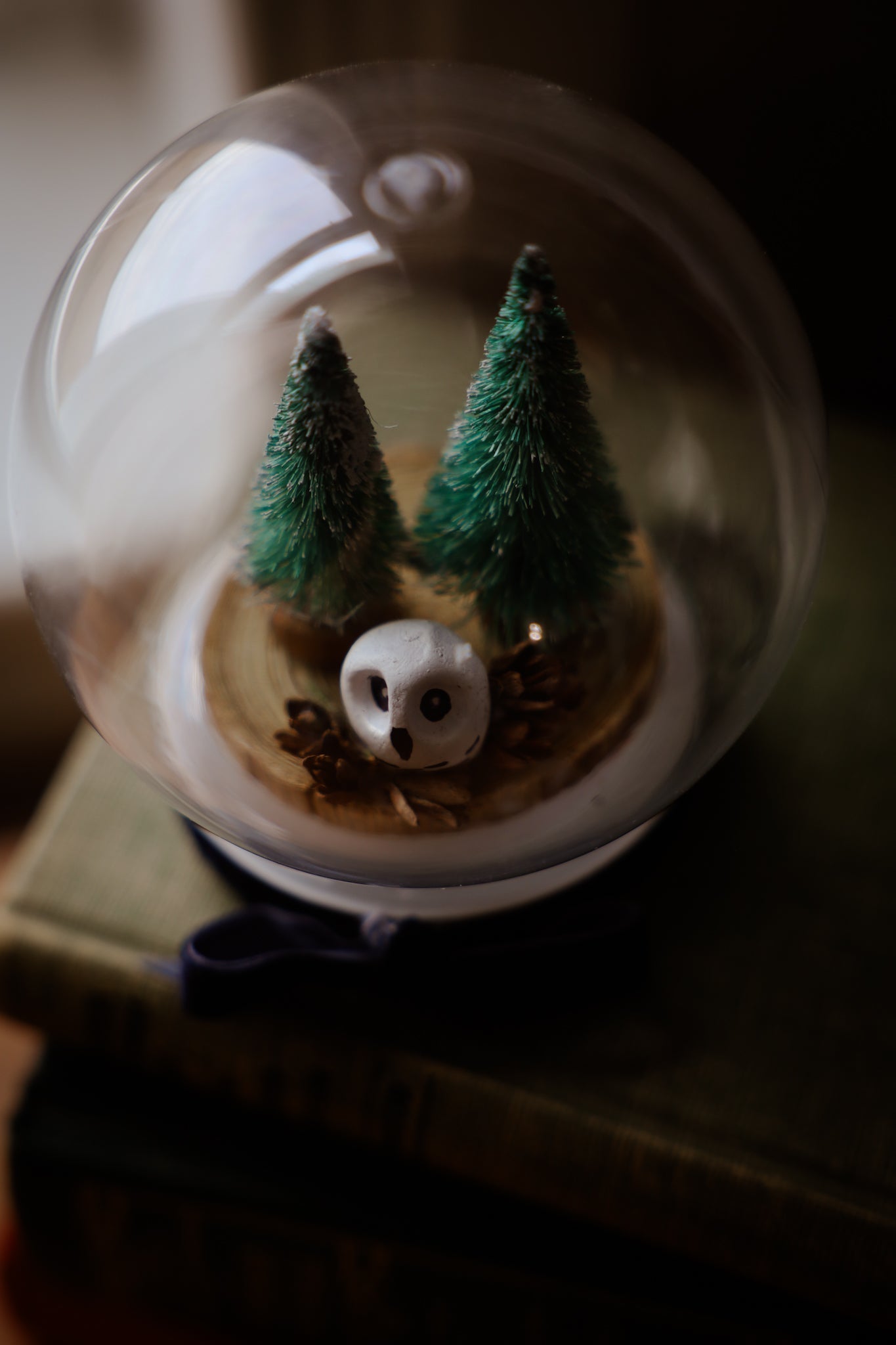 Snow Globe with owl with Blue Ribbon