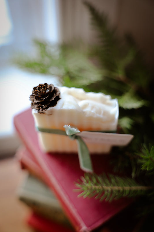 Pine & Balsam Fir Soap Bar