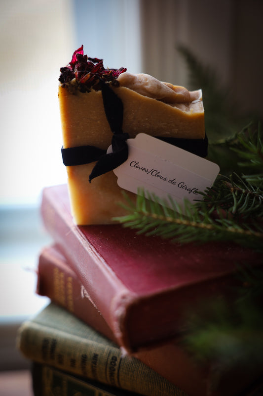 Cloves Soap Bar