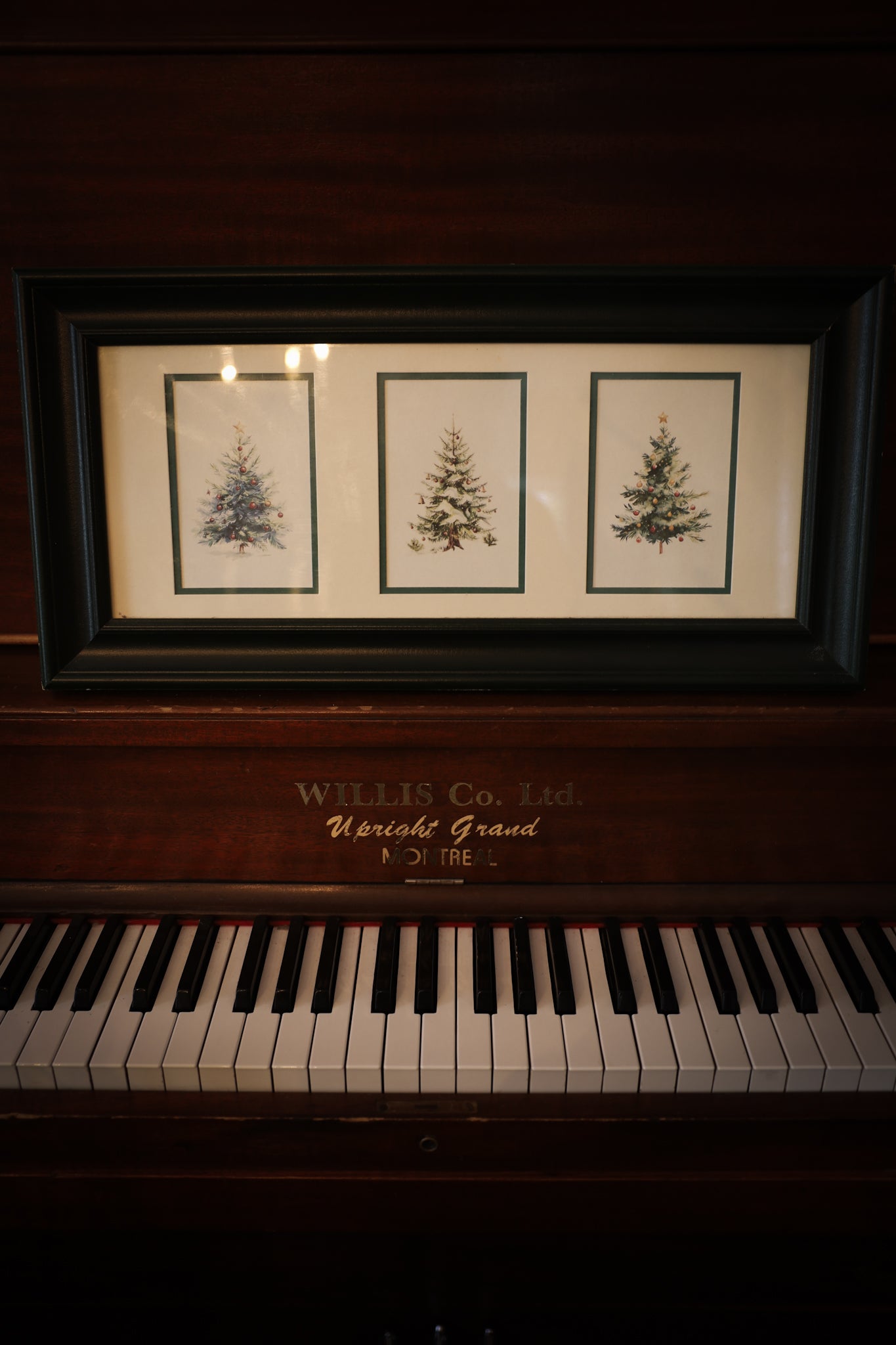 Christmas Tree Frame