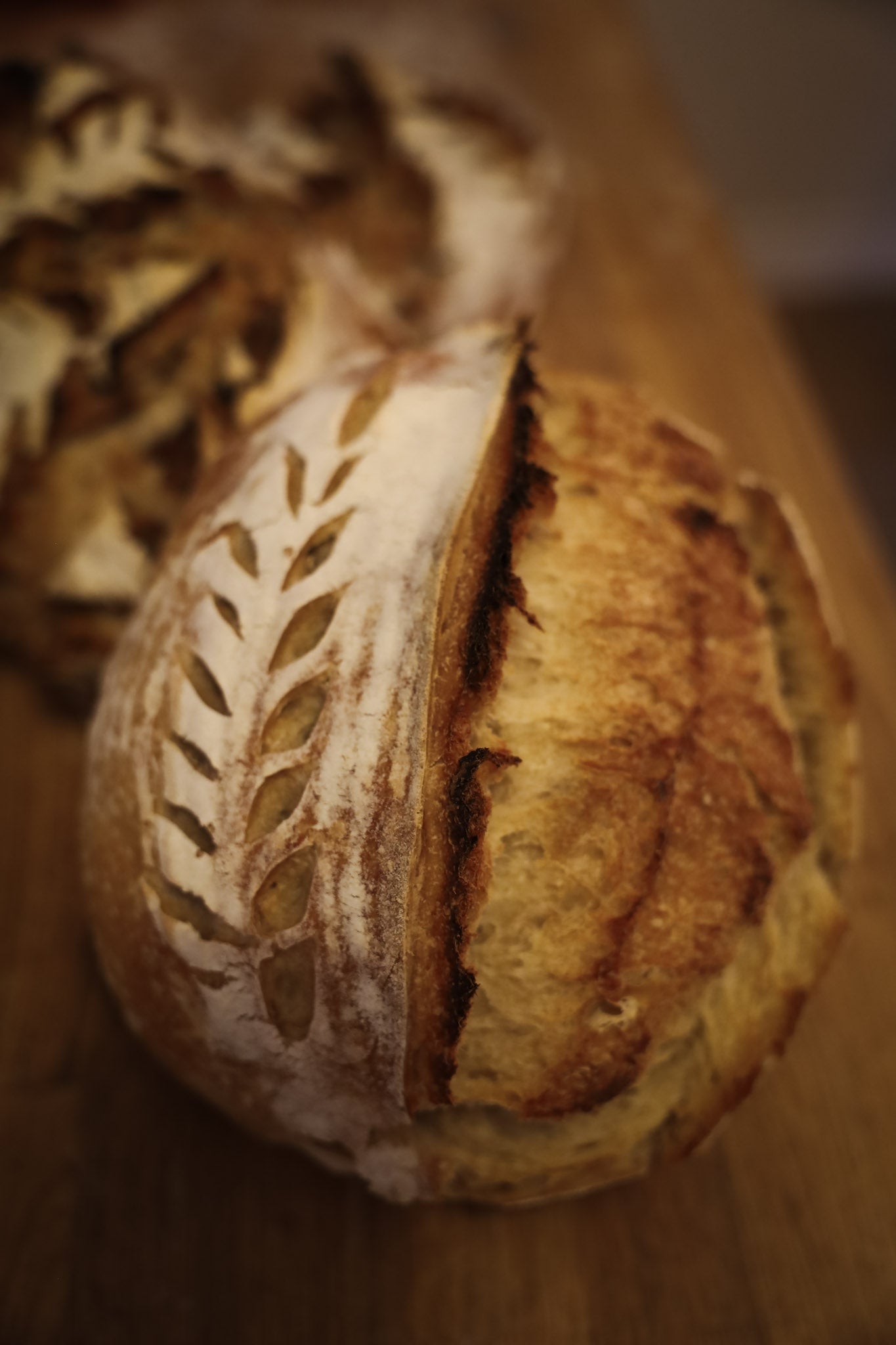 Regular Sourdough Bread