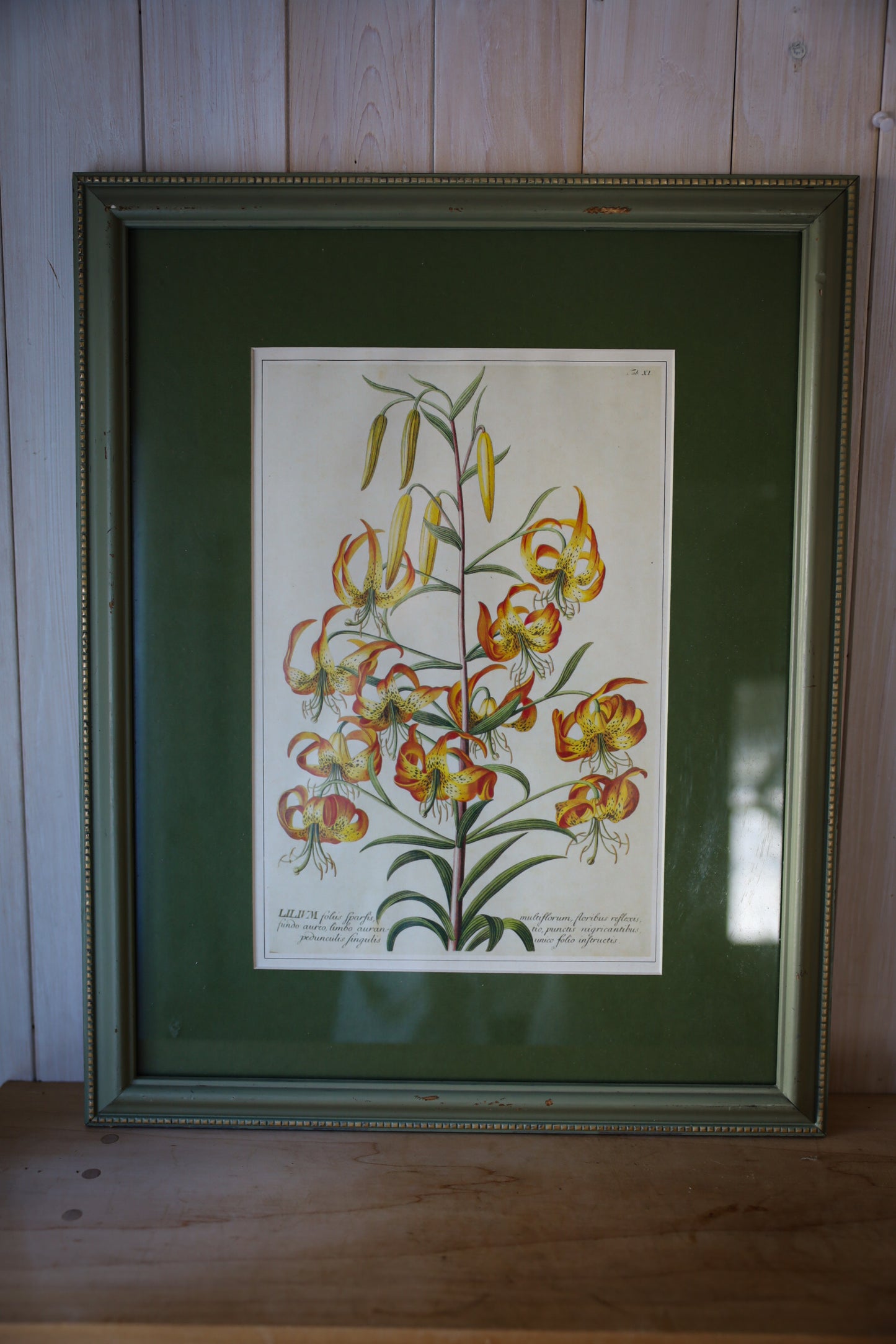 Vintage Green Frame
