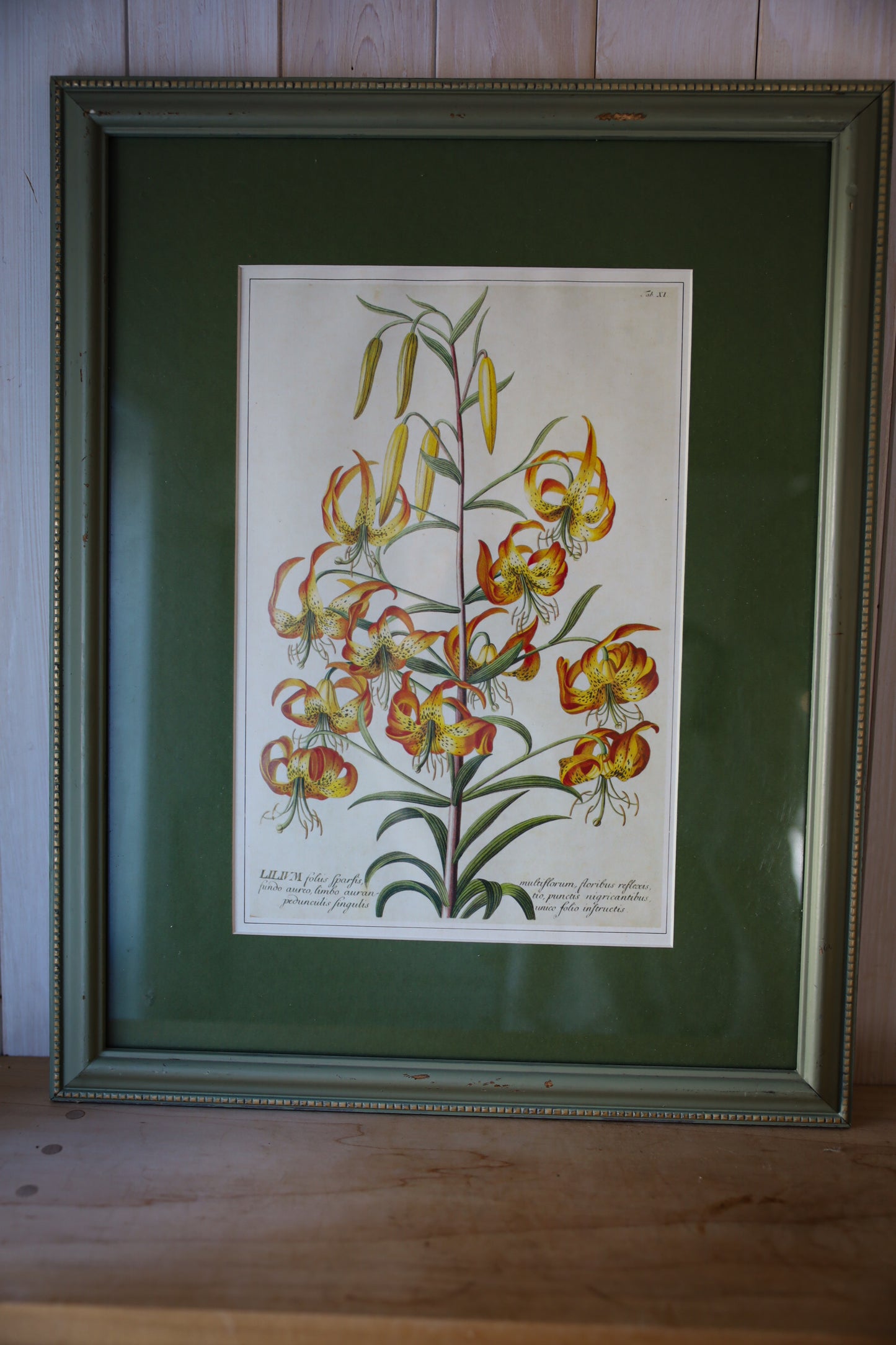 Vintage Green Frame