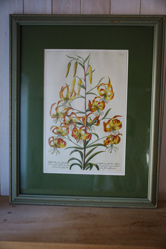 Vintage Green Frame