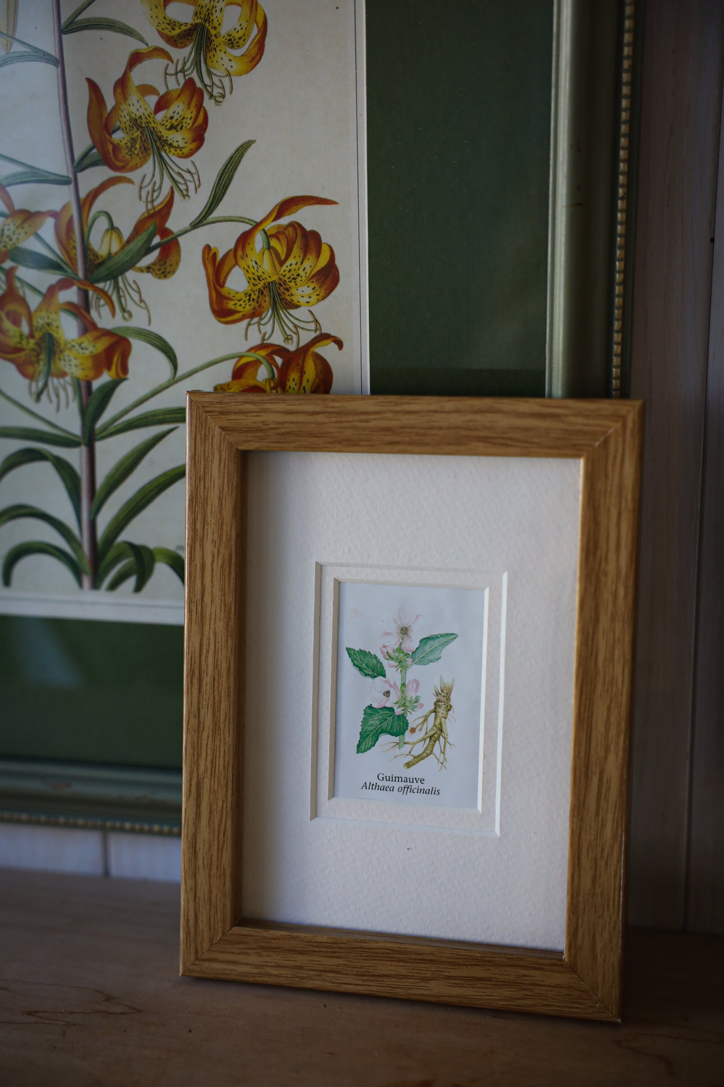 Set of 2 Botanical Frames