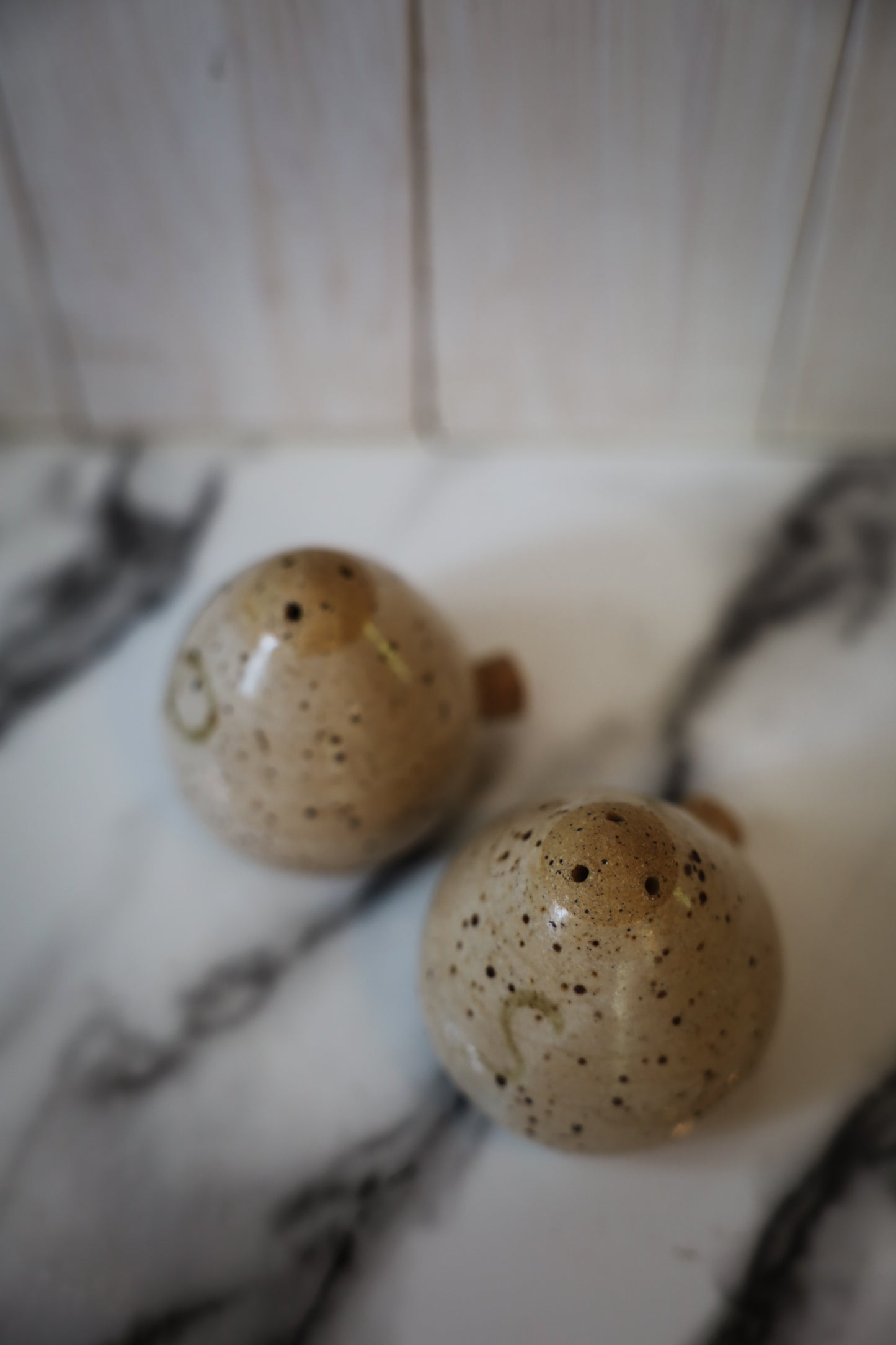Speckled Ceramic Salt & Pepper Shakers