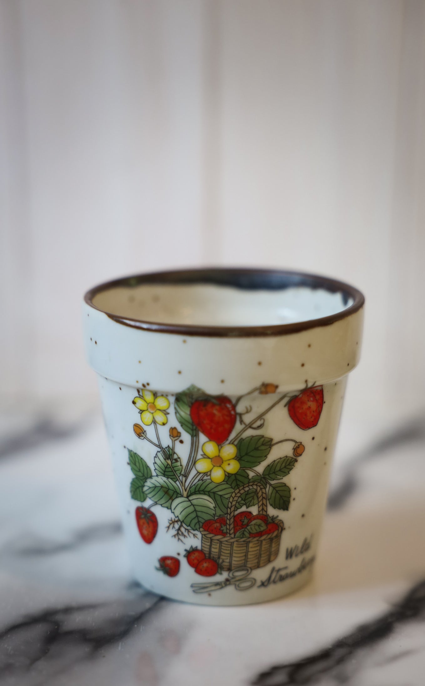 Vintage Wild Strawberry Ceramic Planter