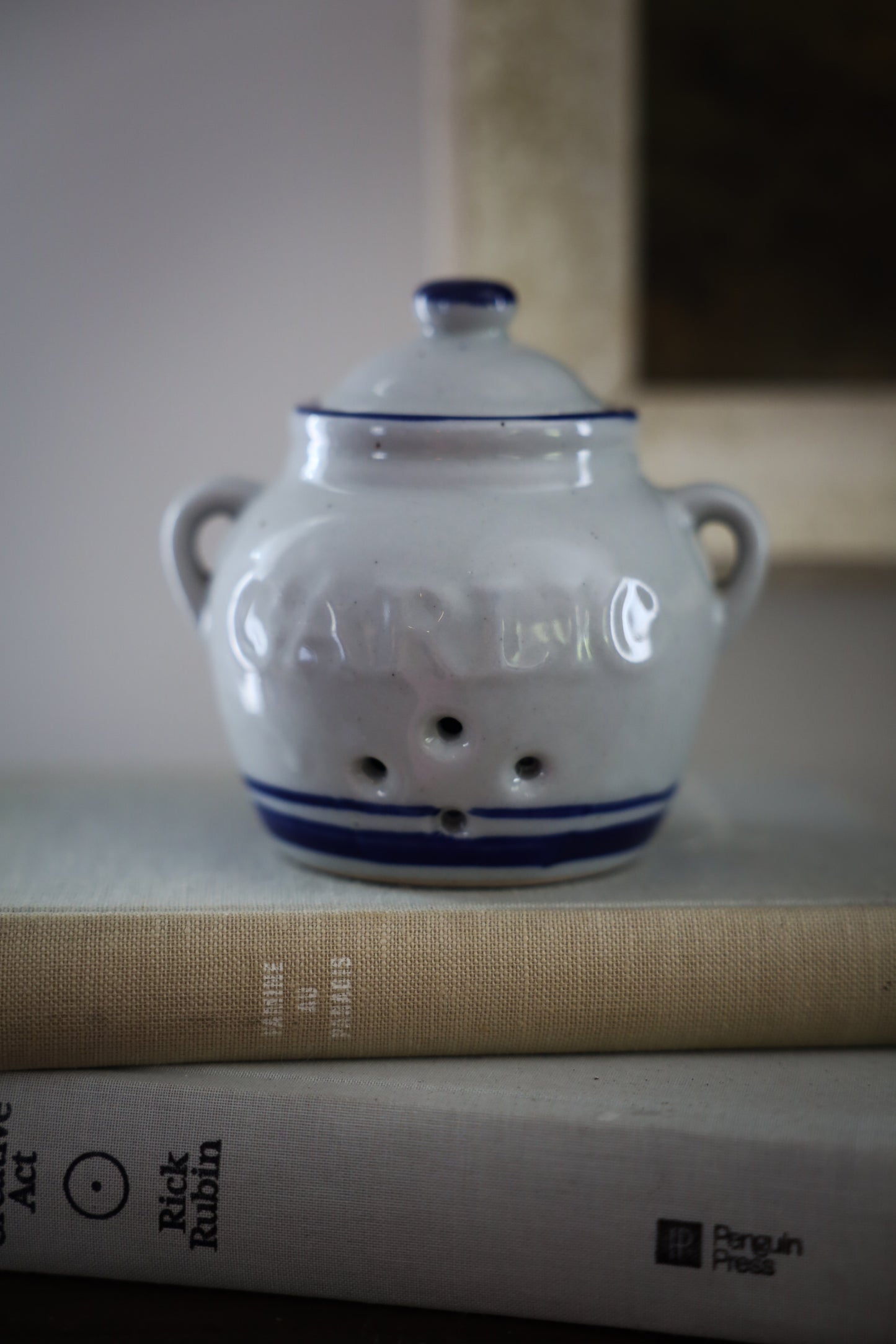Blue & White Ceramic Garlic Keeper