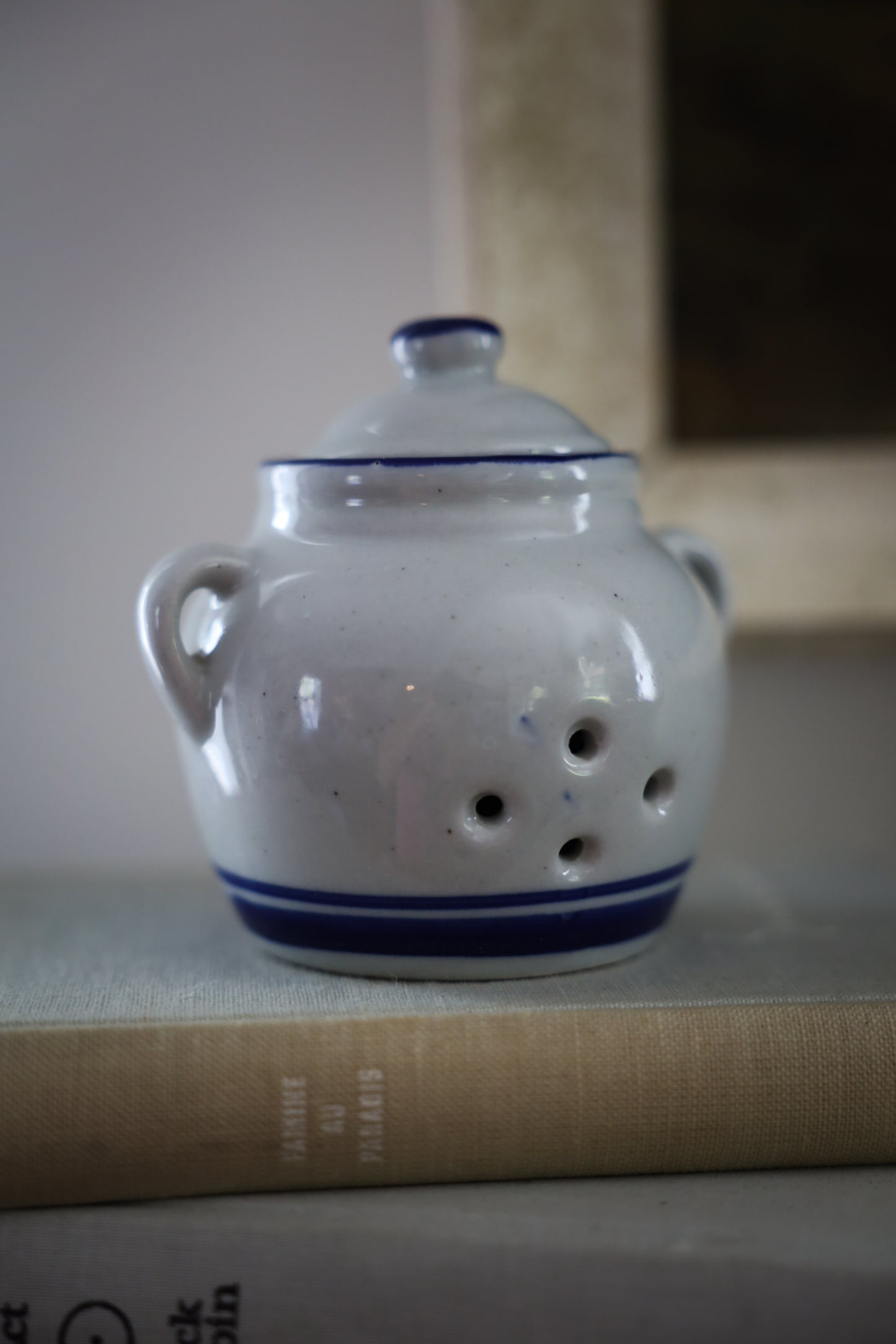 Blue & White Ceramic Garlic Keeper